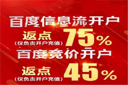 百度广告投放策略优化及成功案例解析