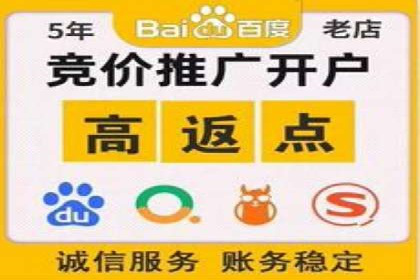 SEM广告创意与执行：成功案例分享